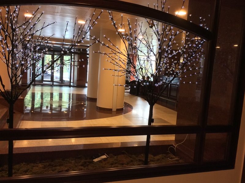 Hotel Rapsodia City Center Botoşani Exterior foto